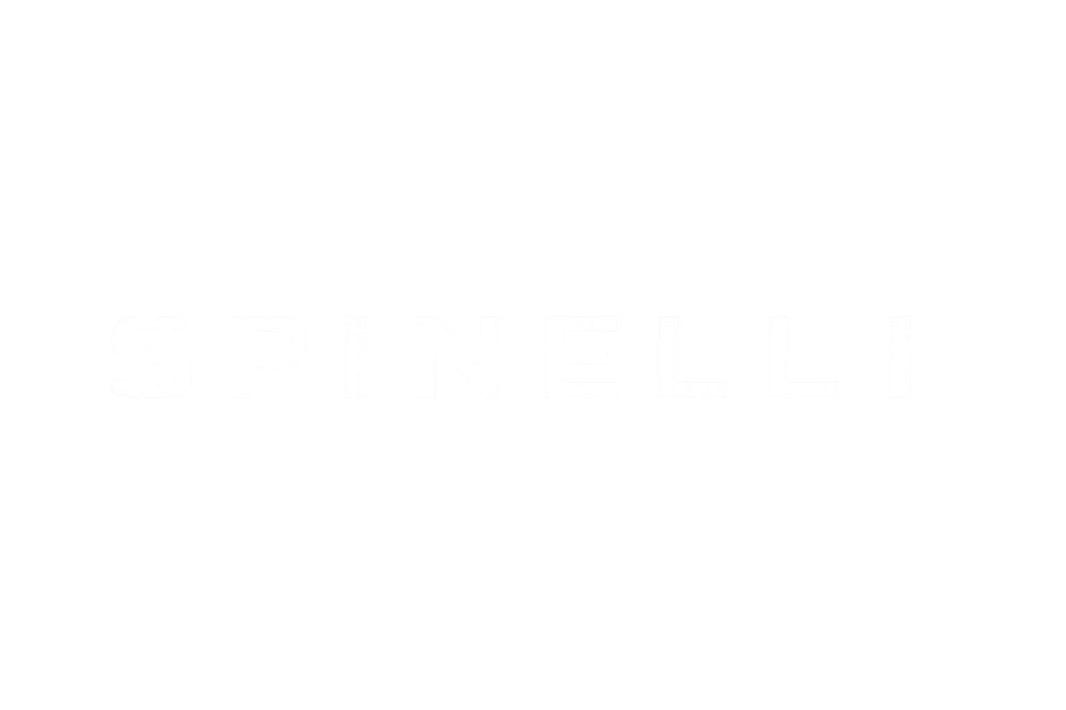 Spinelli Real Estate